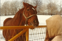big-red0001