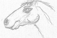 guios-horse
